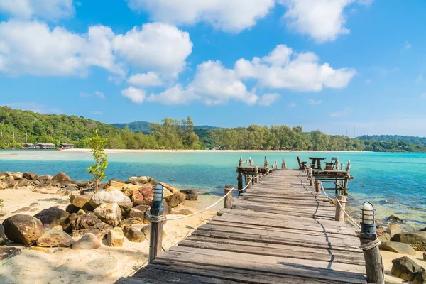 Plaj ve deniz Hindistan cevizi hurma ağacı