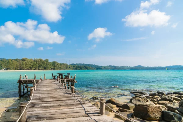 Plaj ve deniz Hindistan cevizi hurma ağacı