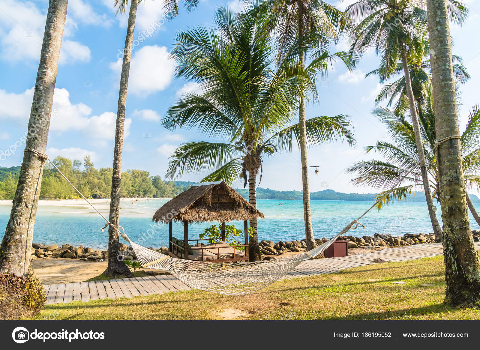 Hamac Sur La Plage Et La Mer Photographie Mrsiraphol