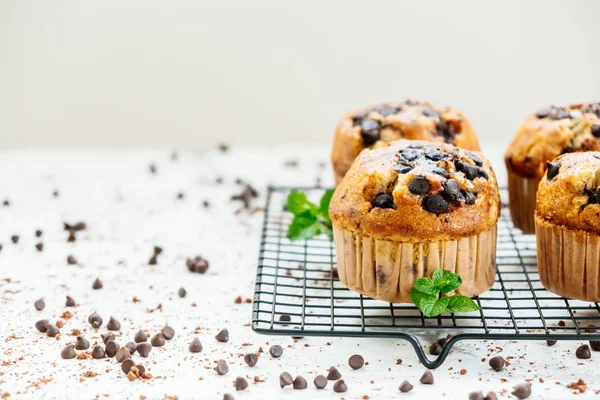 Chocolate chip muffin — Stock Photo, Image