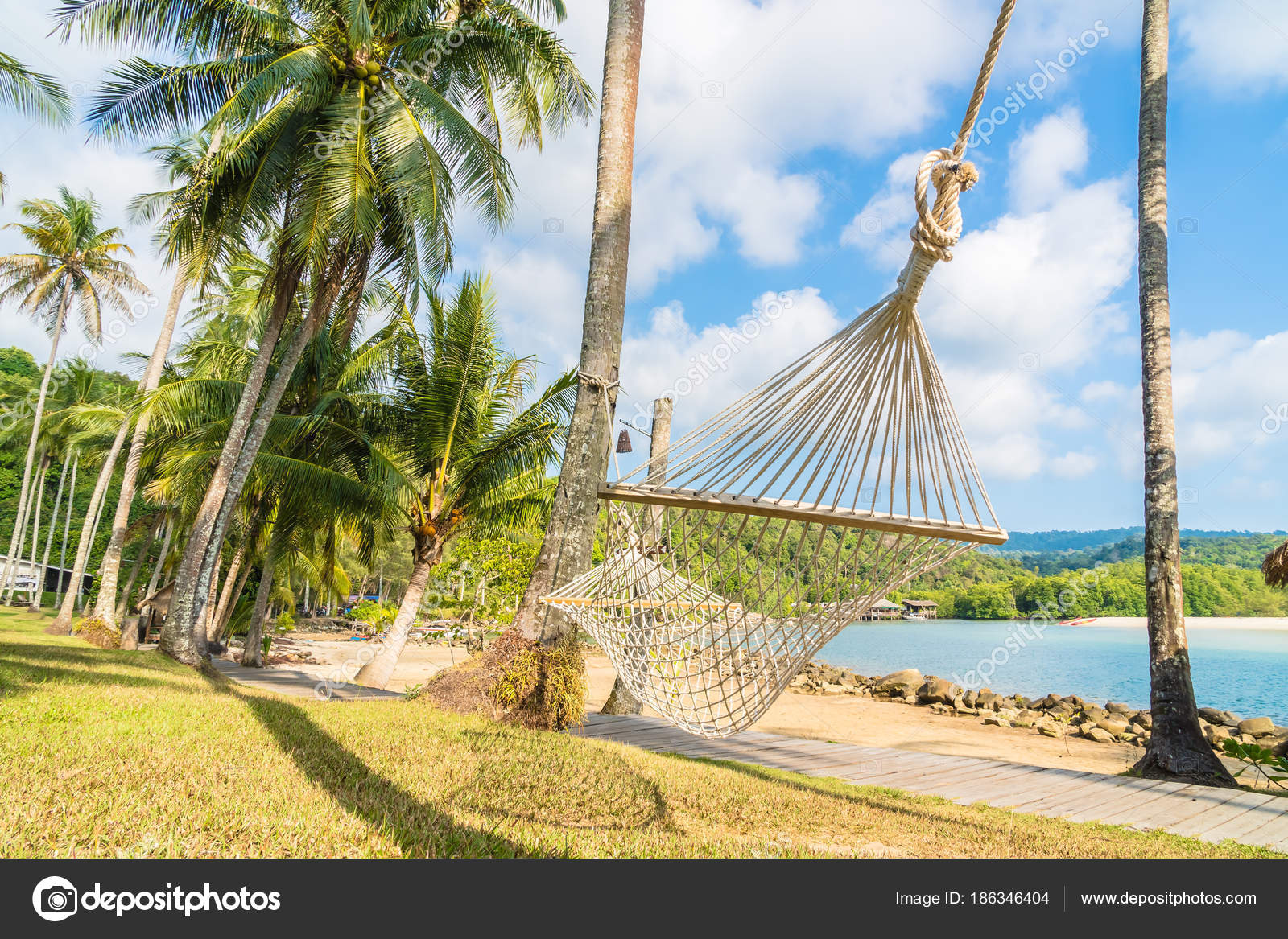 Hamac Sur La Plage Et La Mer Photographie Mrsiraphol