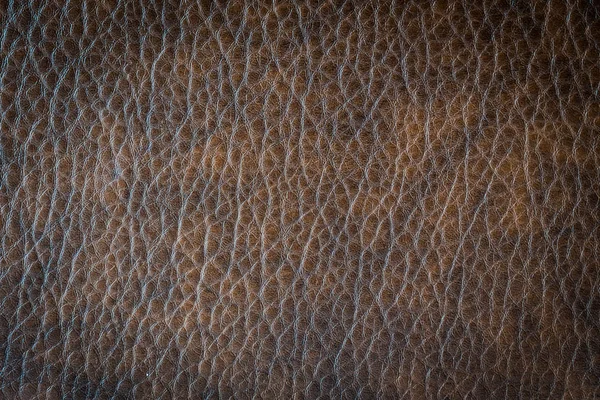Kahverengi deri ve yüzey — Stok fotoğraf