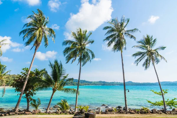 Coconut palmträd på stranden och havet — Stockfoto