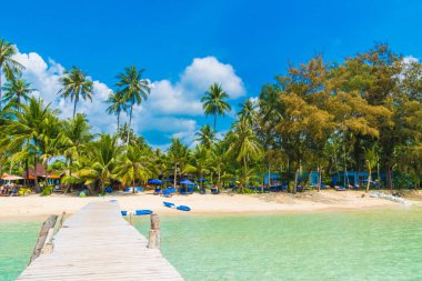 Güzel tropikal plaj ve deniz