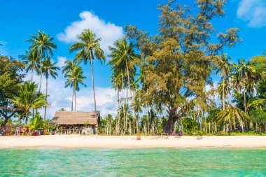 Güzel tropikal plaj ve deniz