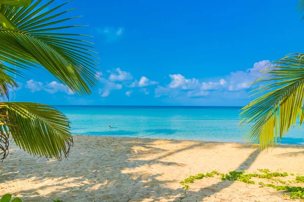 Hermosa playa tropical y el mar —  Fotos de Stock