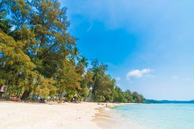 Güzel tropikal plaj ve deniz