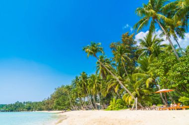 Güzel tropikal plaj ve deniz