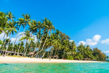 Güzel tropikal plaj ve deniz