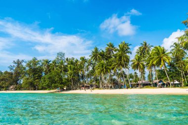 Güzel tropikal plaj ve deniz