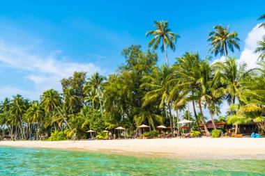 Güzel tropikal plaj ve deniz