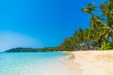 Güzel tropikal plaj ve deniz