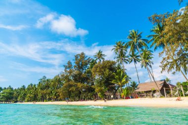 Güzel tropikal plaj ve deniz