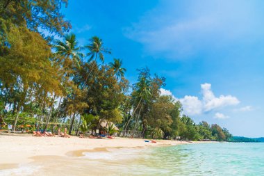 Güzel tropikal plaj ve deniz
