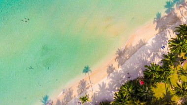 Deniz ve plaj ile havadan görünümü