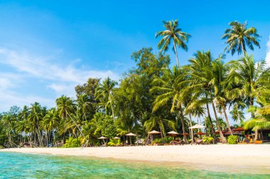 Güzel tropikal plaj ve deniz