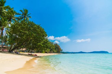 Güzel tropikal plaj ve deniz