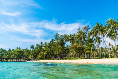 Güzel tropikal plaj ve deniz