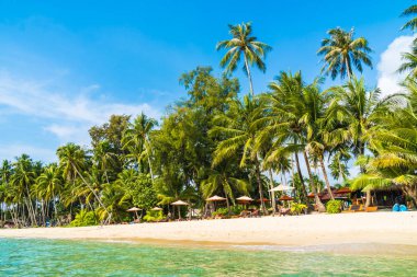 Güzel tropikal plaj ve deniz