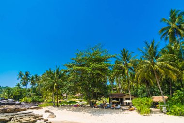 Güzel tropikal plaj ve deniz