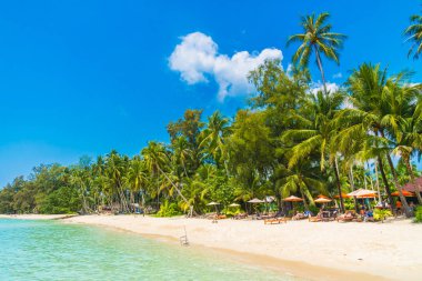 Güzel tropikal plaj ve deniz