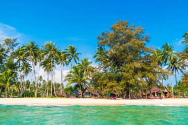 Güzel tropikal plaj ve deniz