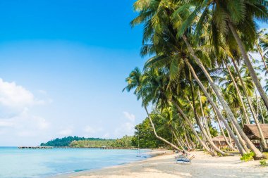 Güzel tropikal plaj ve deniz