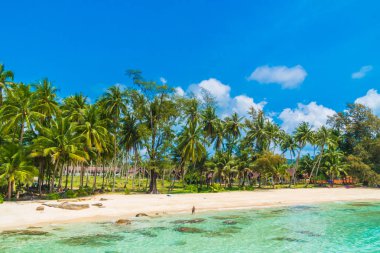 Güzel tropikal plaj ve deniz