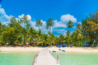 Güzel tropikal plaj ve deniz