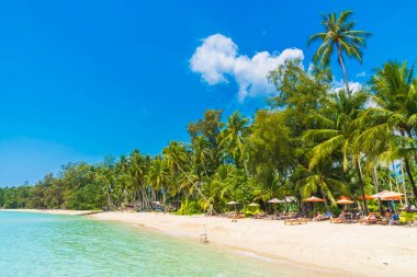 Güzel tropikal plaj ve deniz