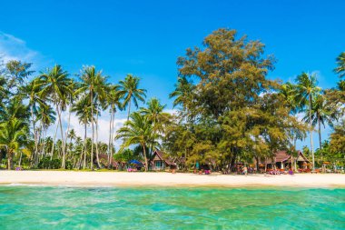 Güzel tropikal plaj ve deniz