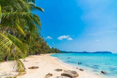 Güzel tropikal plaj ve deniz