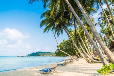 Güzel tropikal plaj ve deniz