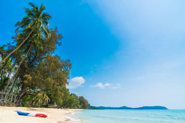 Güzel tropikal plaj ve deniz