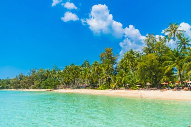 Güzel tropikal plaj ve deniz
