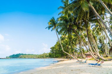 Güzel tropikal plaj ve deniz