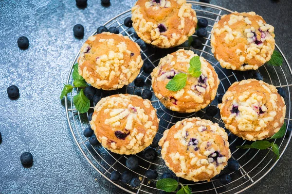 Blueberry muffin — Stock Photo, Image