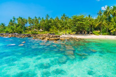 Güzel tropikal plaj ve Hindistan cevizi hurma ağacı Cennet Adası - tatil tatil kavramı ile