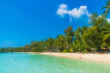 Güzel tropikal plaj ve Hindistan cevizi hurma ağacı Cennet Adası - tatil tatil kavramı ile