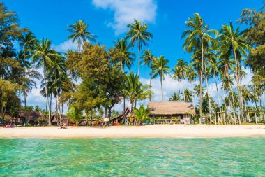 Güzel tropikal plaj ve Hindistan cevizi hurma ağacı Cennet Adası - tatil tatil kavramı ile