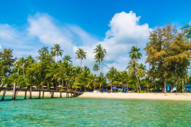 Güzel tropikal plaj ve Hindistan cevizi hurma ağacı Cennet Adası - tatil tatil kavramı ile