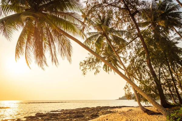 Кокосовая Пальма Небе Морем Пляжем Винтажный Фильтр — стоковое фото