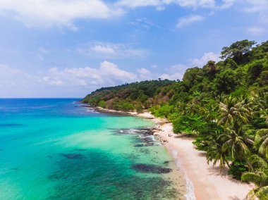 Mavi gökyüzünde Cennet Adası üzerinde güzel bir plaj ve deniz Hindistan cevizi hurma ağacı ile havadan görünümü