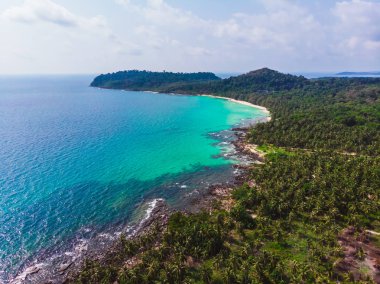 Mavi gökyüzünde Cennet Adası üzerinde güzel bir plaj ve deniz Hindistan cevizi hurma ağacı ile havadan görünümü