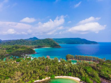 Mavi gökyüzünde Cennet Adası üzerinde güzel bir plaj ve deniz Hindistan cevizi hurma ağacı ile havadan görünümü