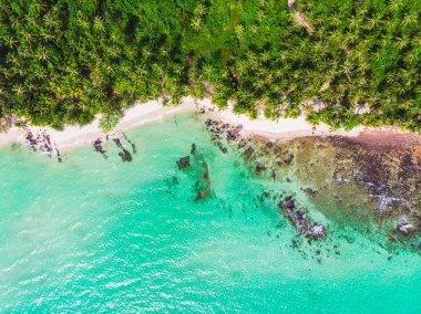 Mavi gökyüzünde Cennet Adası üzerinde güzel bir plaj ve deniz Hindistan cevizi hurma ağacı ile havadan görünümü