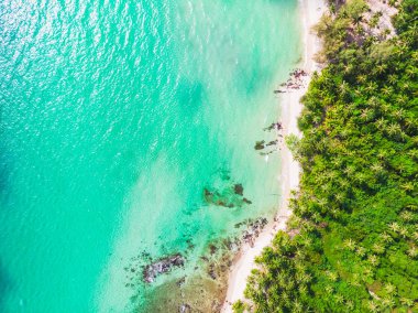 Mavi gökyüzünde Cennet Adası üzerinde güzel bir plaj ve deniz Hindistan cevizi hurma ağacı ile havadan görünümü