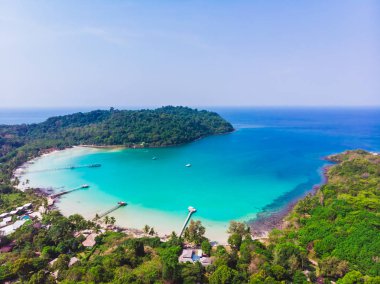 Mavi gökyüzünde Cennet Adası üzerinde güzel bir plaj ve deniz Hindistan cevizi hurma ağacı ile havadan görünümü