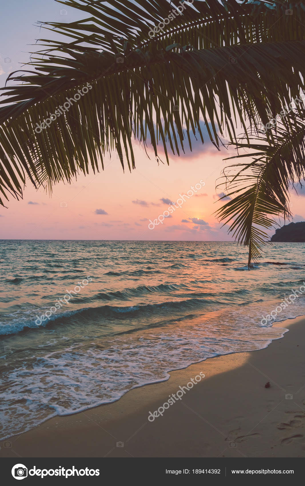 Belle Ile Paradisiaque Avec Plage Mer Autour Cocotier Coucher Soleil Image Libre De Droit Par Mrsiraphol C