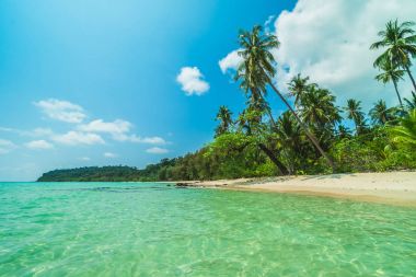 Güzel Cennet Adası ile Hindistan cevizi hurma ağacı - tatil tatil kavramı etrafında deniz ve plaj peyzaj
